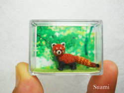 fuckyeahtlokfanarts:  pabloeinstein:  Micro red panda made of crochet.  PABU!