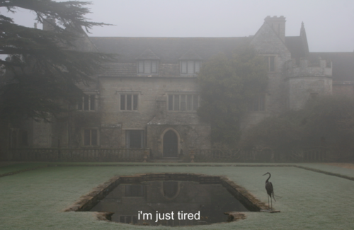 akapale:  foggy/pale