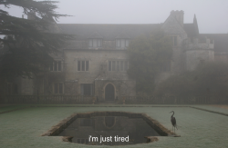 akapale:  foggy/pale