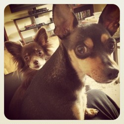 Cece Buffé And Coop De'ville Say “Good Afternoon Y'all!” :) 