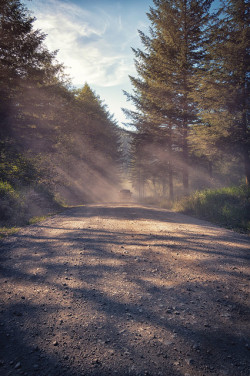 kovthephotographer:  Dusty Roads on Flickr.