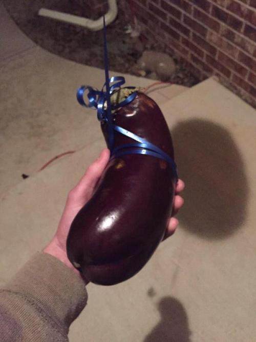 I would very glad if someone would give me a huge eggplant like this.