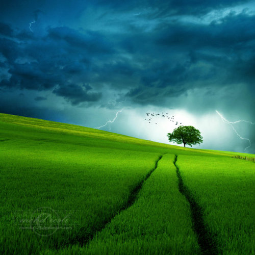 Stormy Day by Rosli(Artist’s website)