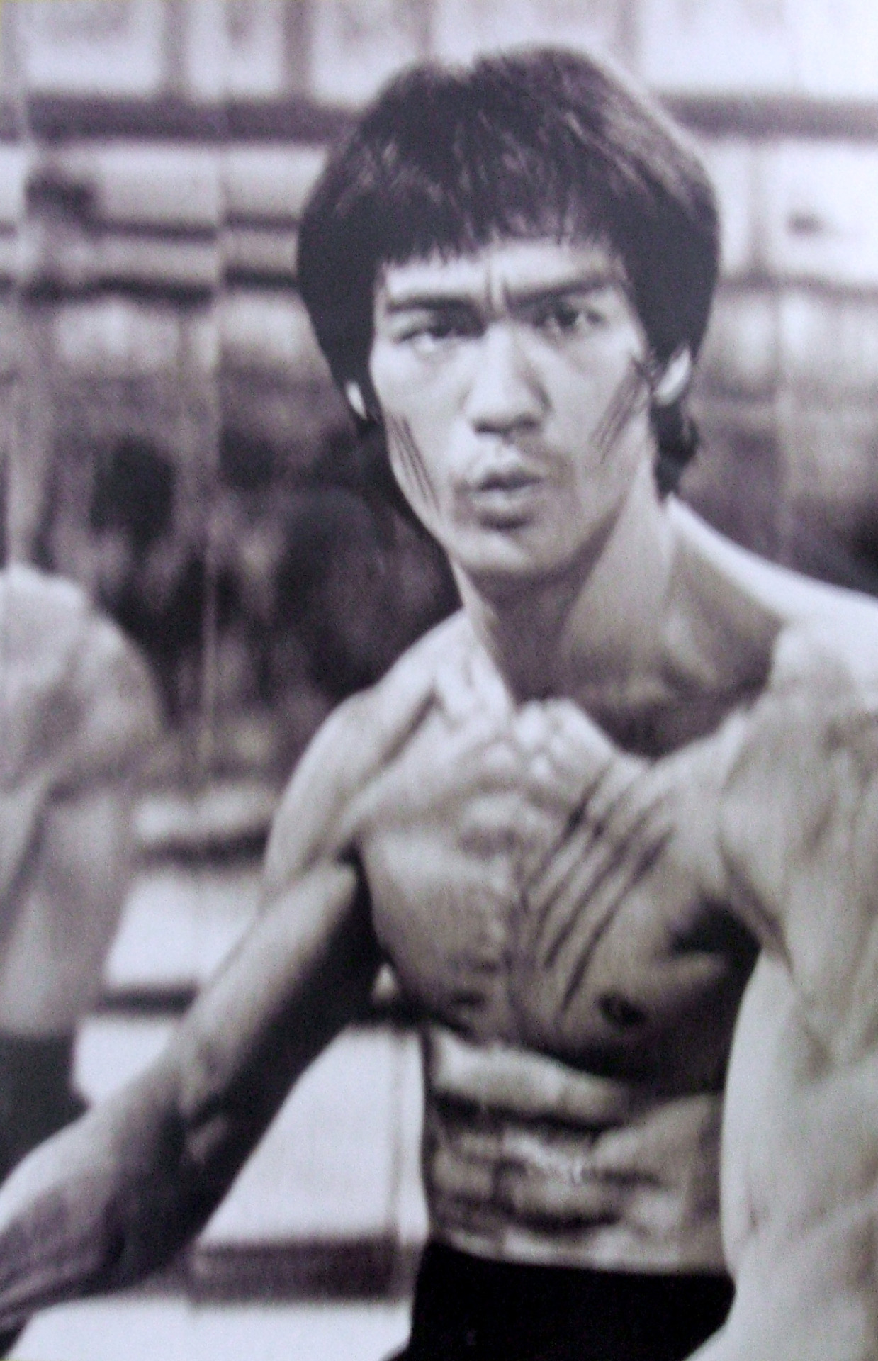 The Dragon