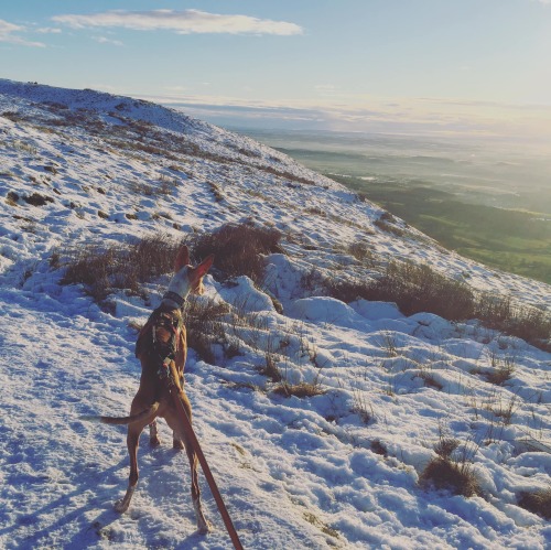 Up into the hills to get some snow this morning. -3C when we set out, but by the time we’d scrambled