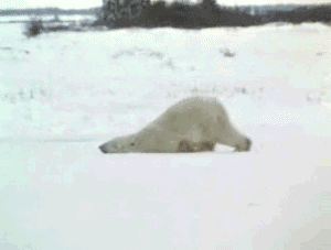 failsnet:  Tumblr Fails.net - Monday Morning