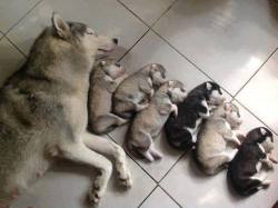 cute-overload:  Cute Family…http://cute-overload.tumblr.com