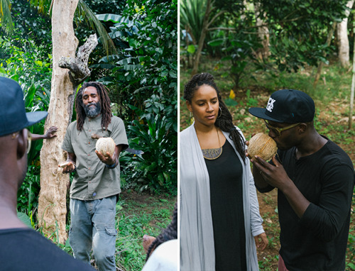 the-movemnt:Stush in the Bush: A farm-to-table love story in JamaicaST. ANN, Jamaica — Our world is 