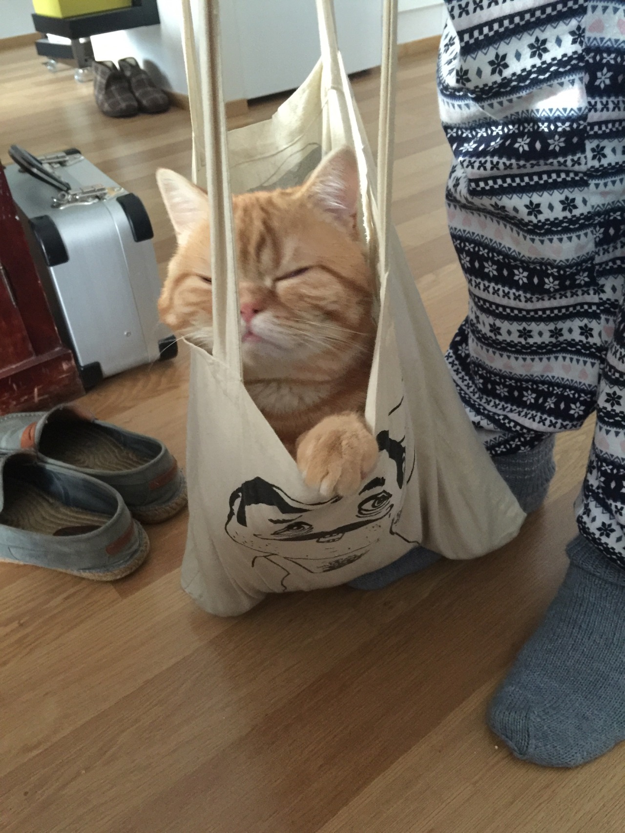 ikipin:  i can’t with this animal 