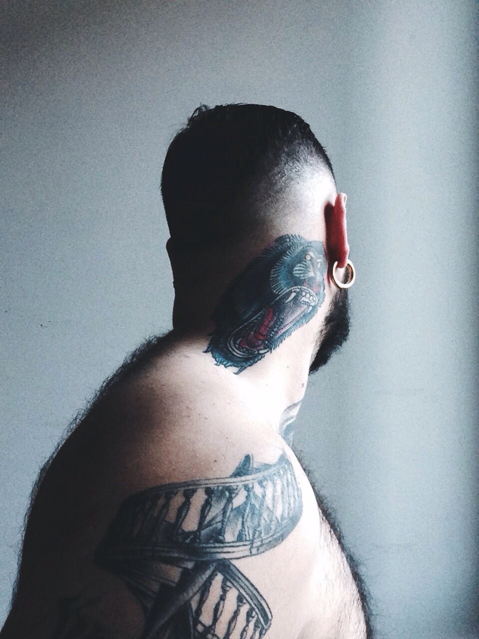 LTTLSLR