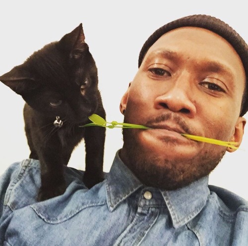 hailneaux:mahershalaali’s photo instagram.com/p/65G7Xxttg9/