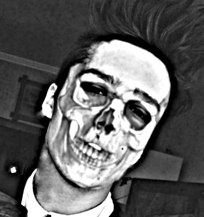 platinwolf:  skull