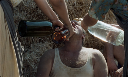 freakin-deakin:Happy as Lazzaro (2018)Dir. Alice RohrwacherCinematography: Hélène Louvart