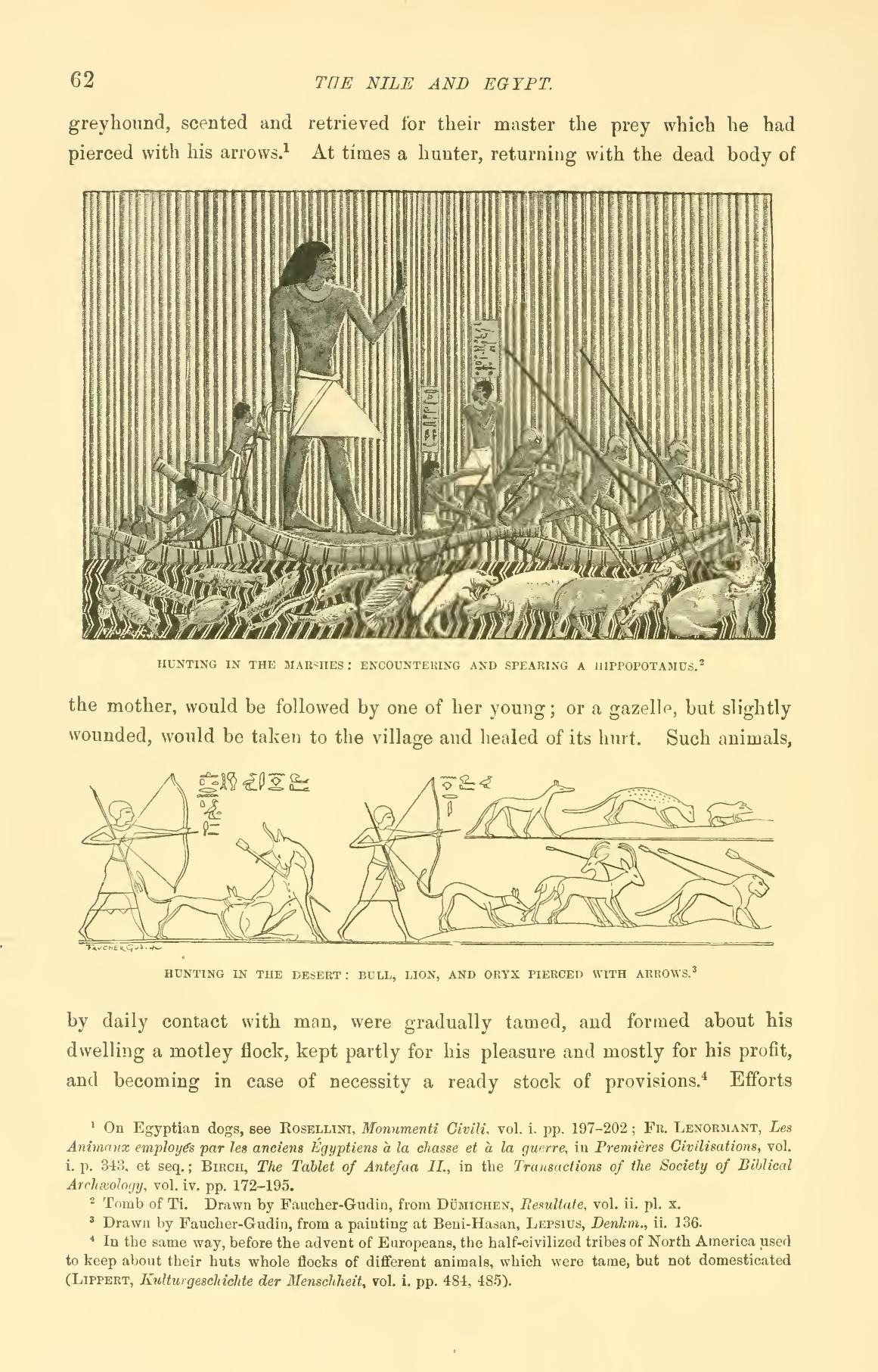 @ancient-egypts-secrets on Tumblr