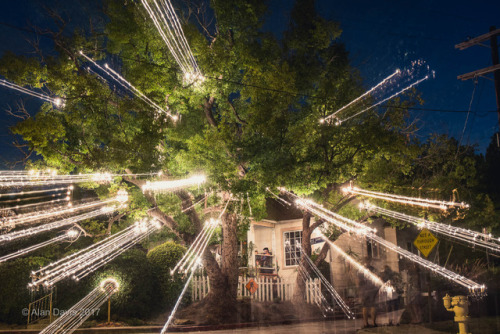 The famed chandelier tree of Silverlake - exploded view.