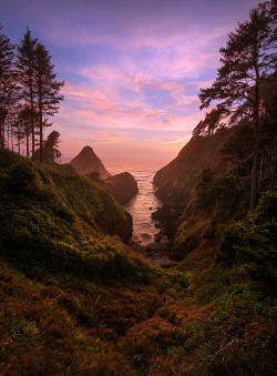 etherealvistas:  Paradise Light (USA) by