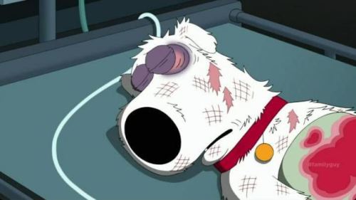 imphoebobuffay:  RIP Brian Griffin