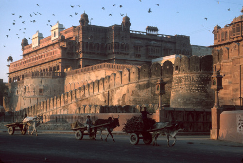 unrar:Bikaner, Jangarth, India 1985, Bruno Barbey.