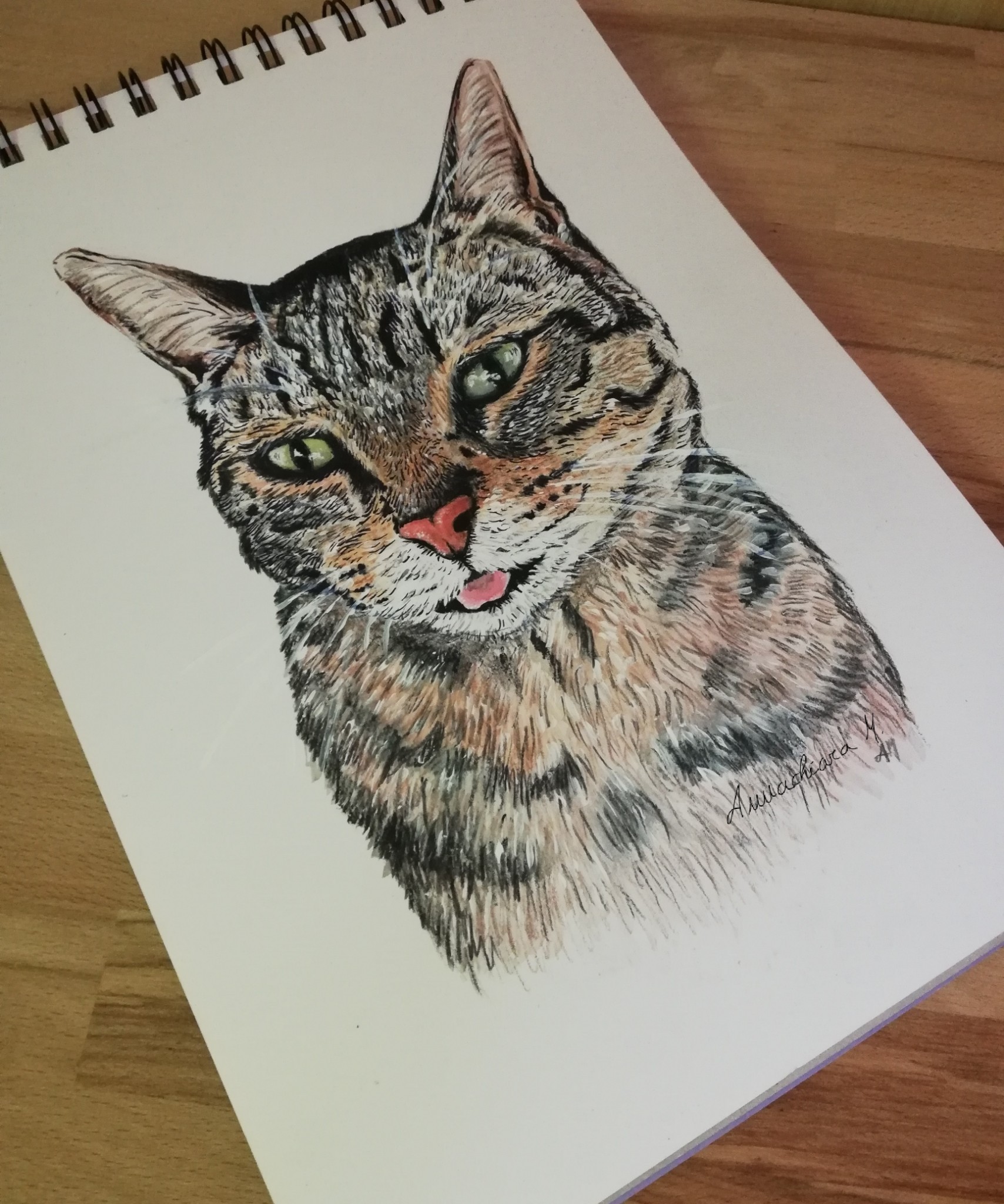 #drawing cat on Tumblr Cats Drawing Tumblr