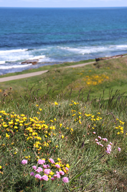 Burghead Pictish Fort, nr Inverness, Scotland, 27.5.18.Burghead was likely one of the largest Pictis