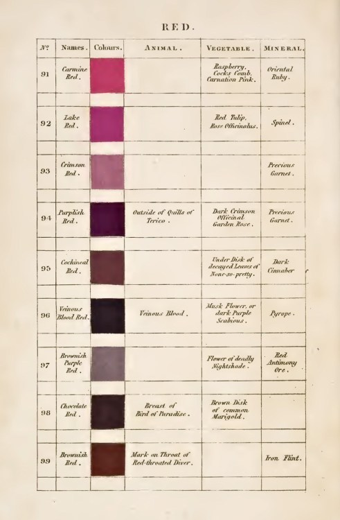 nobrashfestivity:   Patrick Syme, Charts for Werner’s Nomenclature of Colours: Adapted to Zoology, Botany, Chemistry, Mineralogy, Anatomy, and the Arts, 1821 Via brainpickings 