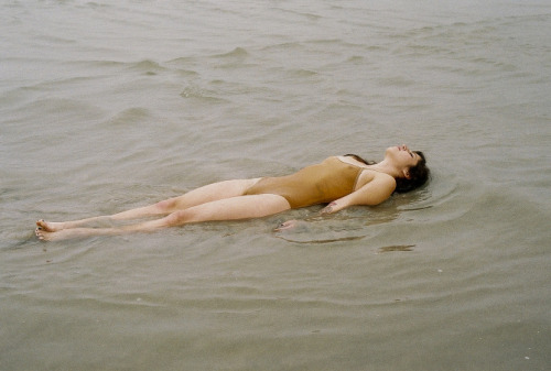 aquaticwonder:Cary Fagan