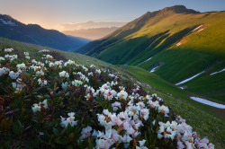 expressions-of-nature:  Arkhyz, Russia by Sergey