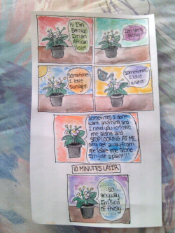 everylevel:  I made a comic about Marina’s African Violet named Bernice and I… relate to this plant so much