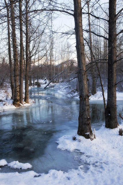 tearingdowndoors:  The Freezing (Explored) || Douglas Brown 