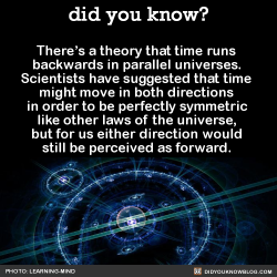 did-you-kno:  There’s a theory that time