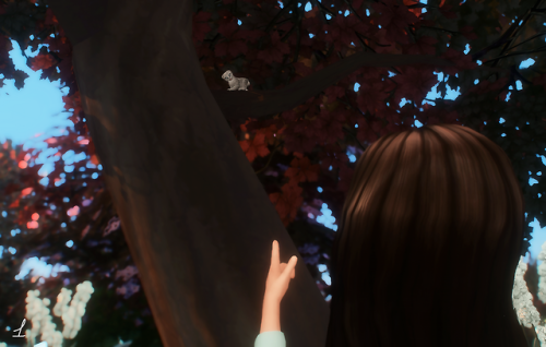 [TS4] Poses For My Story 7 -Saving Kitten