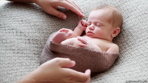 gaj0romar1ogifs:  THAT’S SO FUCKING CUTE …. 