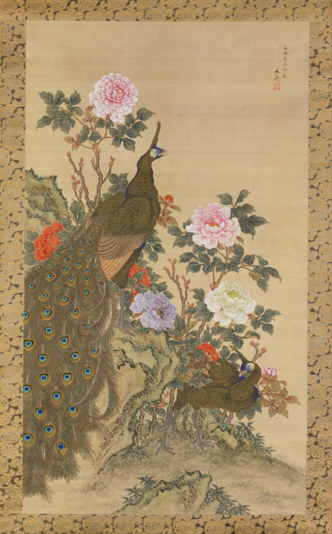 oncanvas