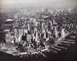 destructs:  Delirious New York by Rem Koolhaas
