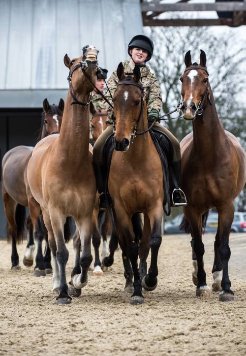 Gunner Jess Young exercises the Kings Troop horses. Photographer Sgt Rupert FrereBritish Army