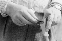  Vladimir Nabokov and butterfly, Carl Mydans,