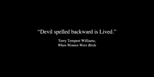 anamorphosis-and-isolate:Terry Tempest Williamsfrom When Women Were Birds