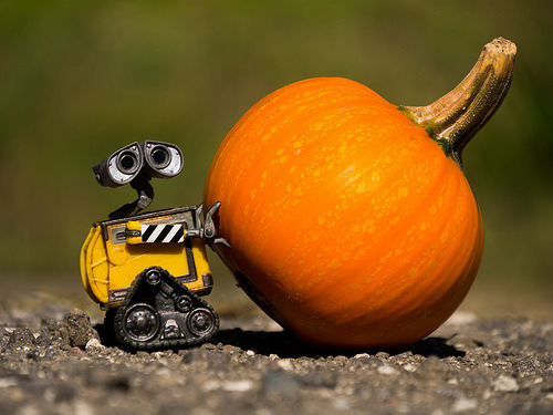 losttechnology:WALL-E vs. Pumpkin