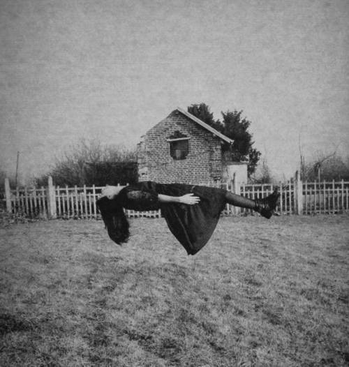 Virgins - Suicides