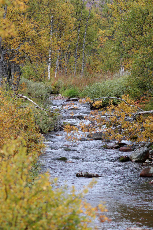 Tangådalen and surrounding area in Fulufjället National Park, Dalarna, Sweden. September, 2020.