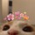 6eautiful:I wish