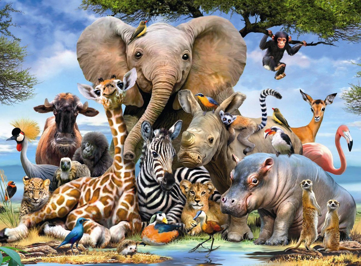 Just Being • 137 species of animals are becoming extinct each...