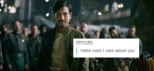 jedileiaorgana:jyn/cassian + text post meme