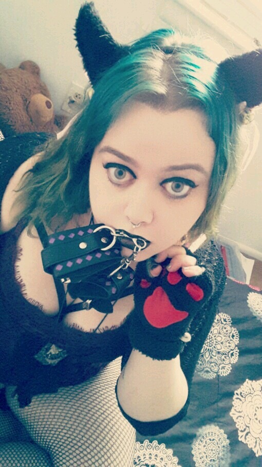 suicideangelkitten:  Pouty kitty wants to play!