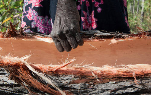 Amy Toensing: Gulkula, Mata Mata Homeland, Norther Territory Australia - Maningrida and Mutitjulu co