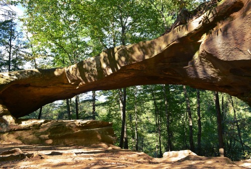 Day trip to Red River Gorge in KY! Creation Falls, Princess Arch, and Chimney Top Rock.