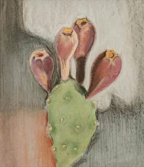 cactus-in-art:Tanya Marshak (Israeli)