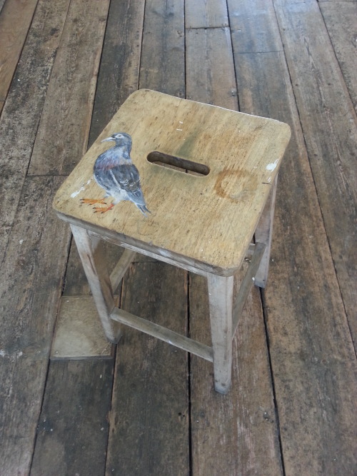 A pigeon painted on a stool for the life art classes here at the minories