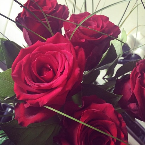 #gift #love #flower #redroses