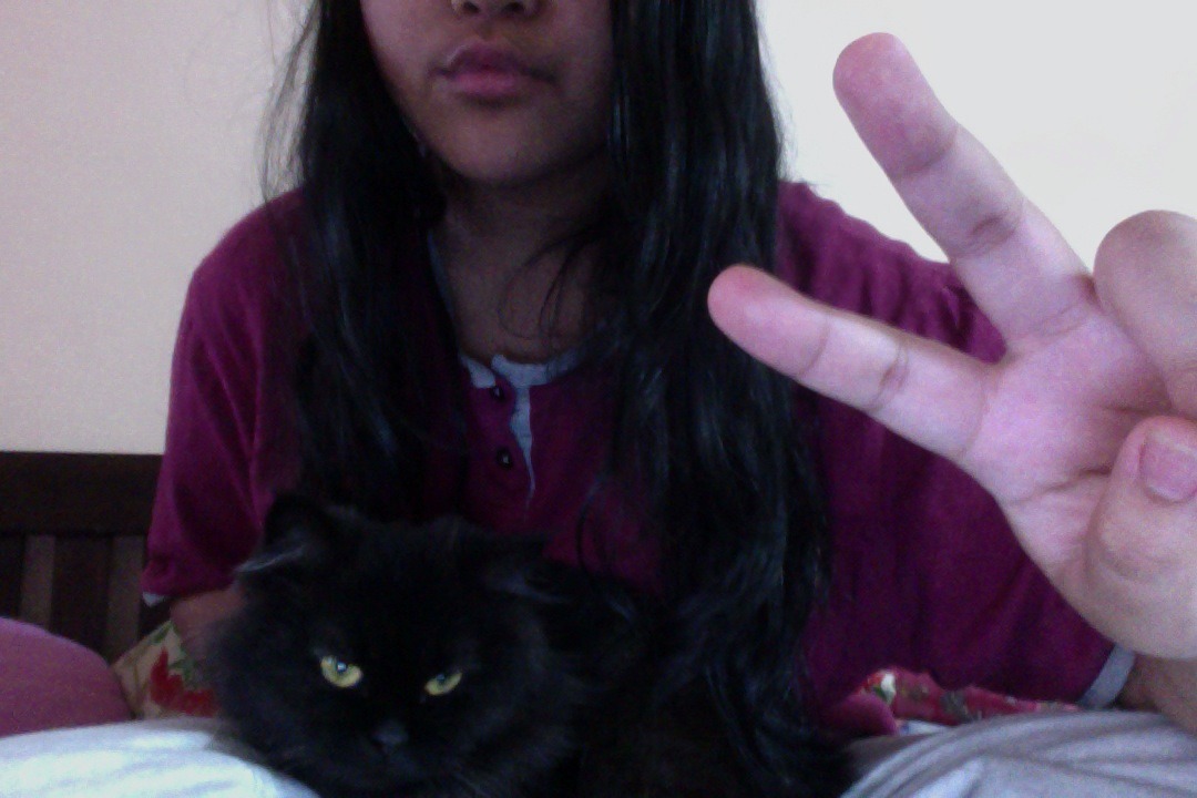 me and my cat, lola are home alone. shes so done with life